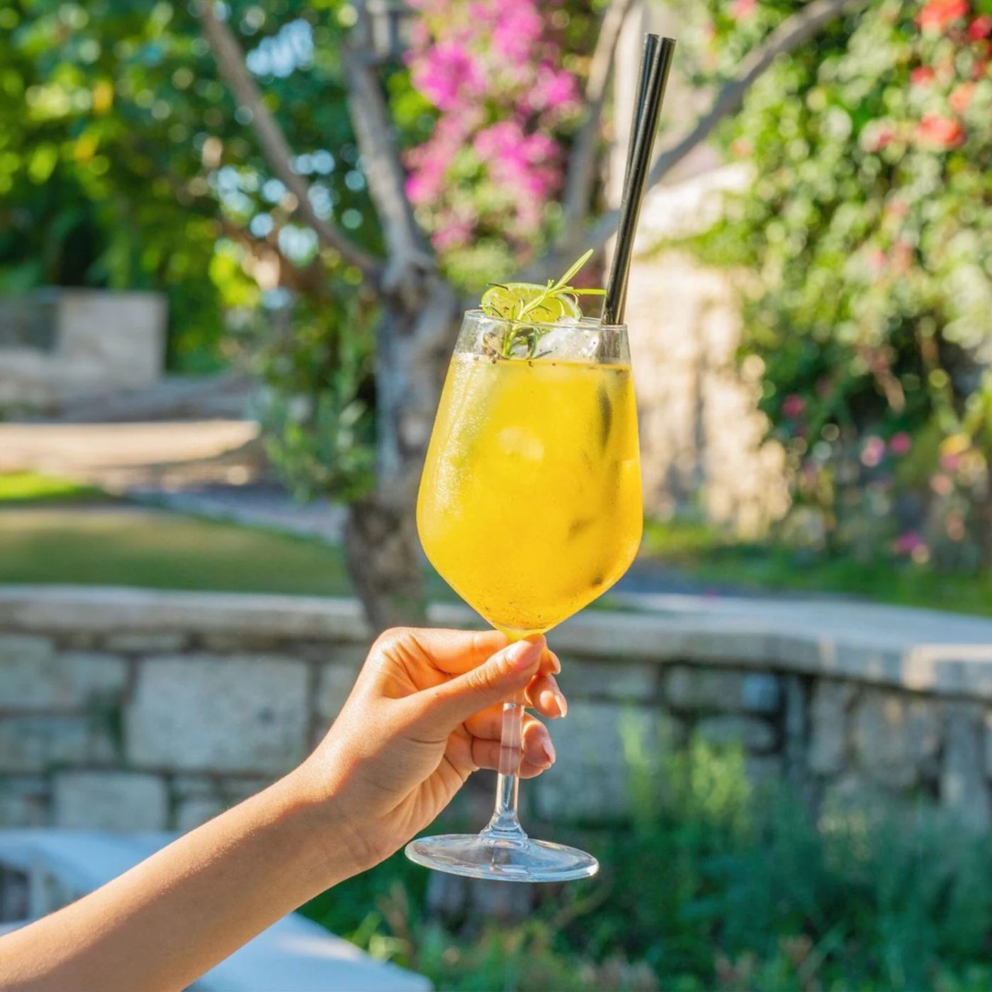 STOLZLE REVOLUTION RED WINE GLASSES 490ML - SET OF 6